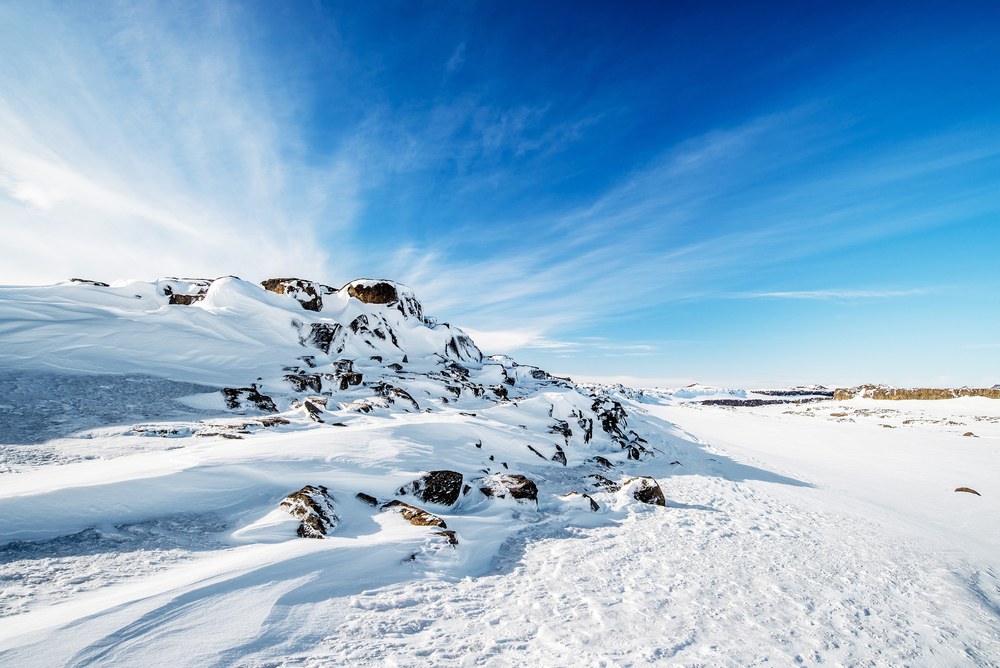 Snowy landscapes while dog sledding in Iceland